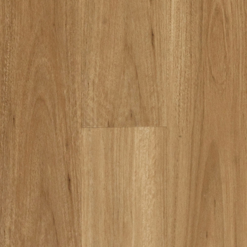 Hydroplank Hybrid Floor "Blackbutt"