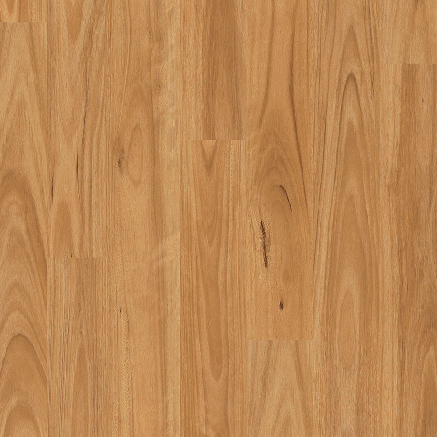 Quick-Step Eligna "Blackbutt"