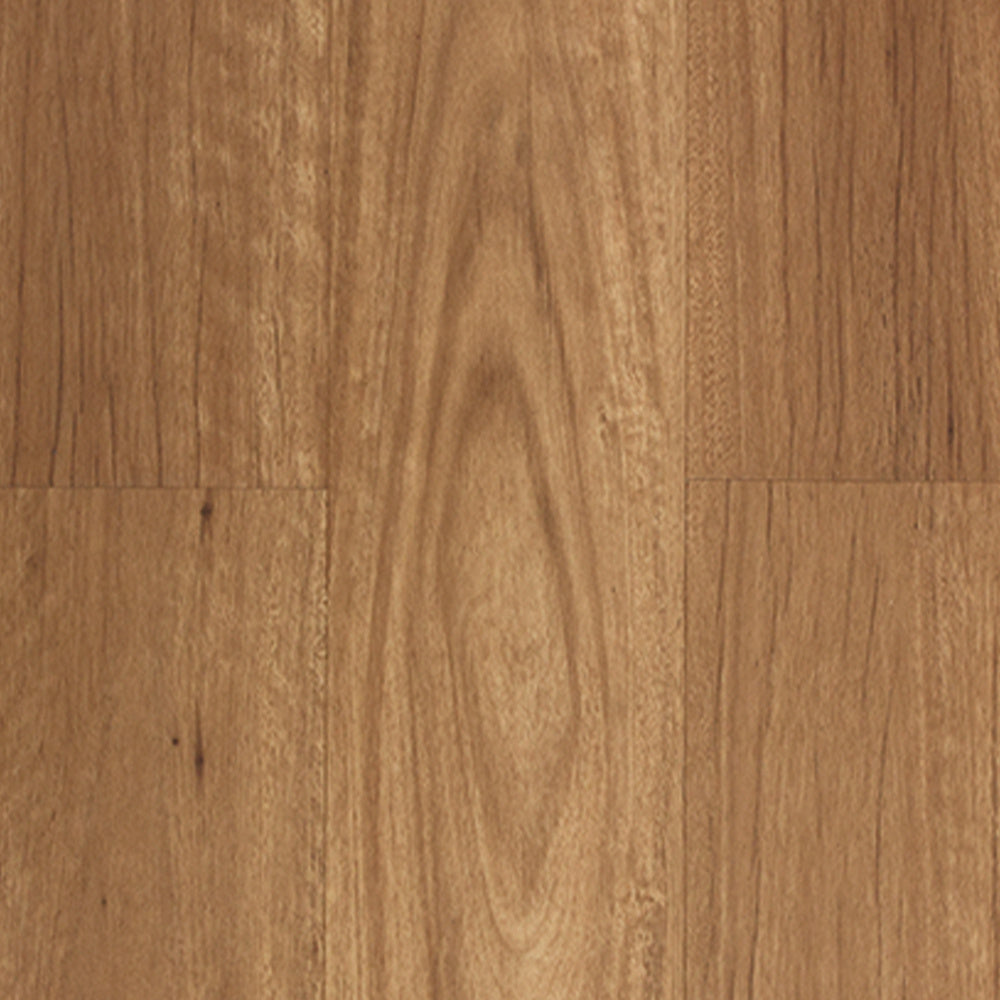 Aspire Hybrid Floor "New England Blackbutt"