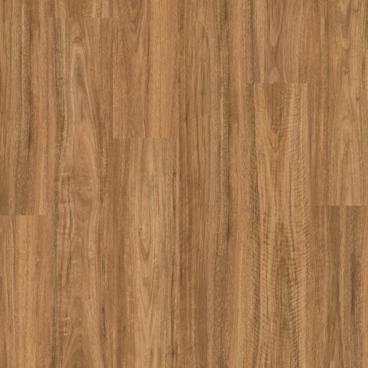 Titan Glue "Spotted Gum"