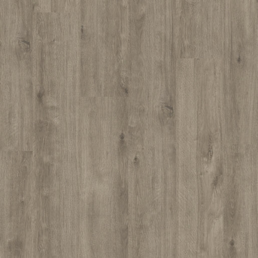 Titan Glue "Pale Driftwood"