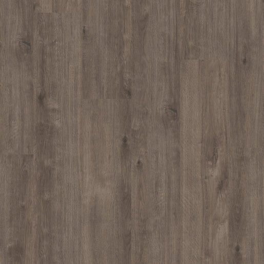 Titan Glue "Wild Mountain Gum"