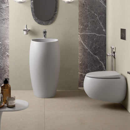 RAK Cloud Wall-Hung Toilet Suite, Matte White