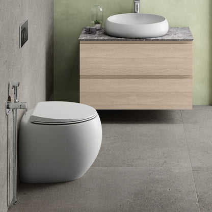 RAK Cloud Wall-Faced Toilet Suite, Matte White