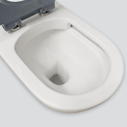 Stella Care Back-to-Wall Toilet Suite, Gloss White