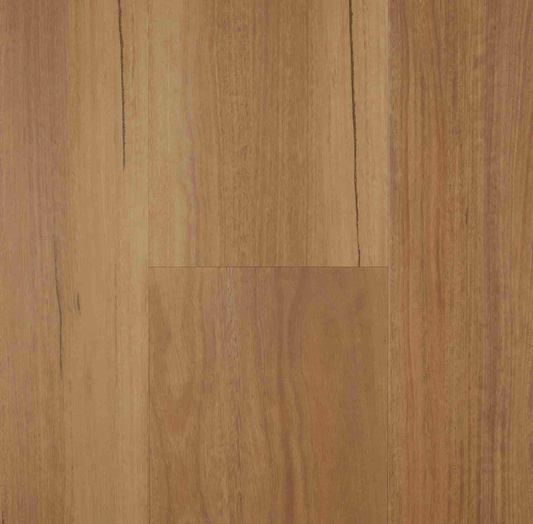 VU2-COASTAL SPOTTED GUM