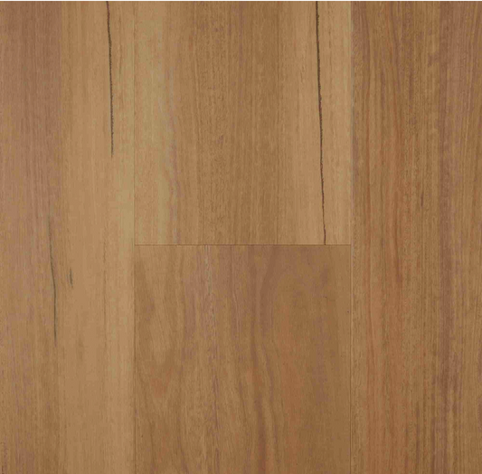 VU4-Coastal Spotted Gum