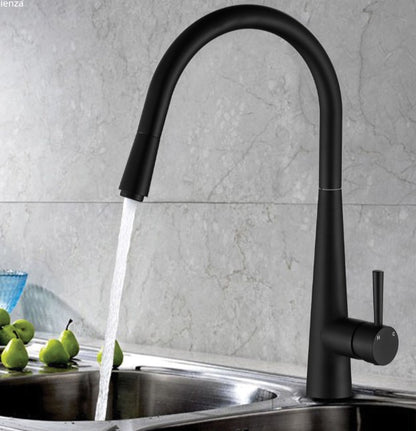 Hustle Deluxe Gooseneck Pull-Out Kitchen Mixer