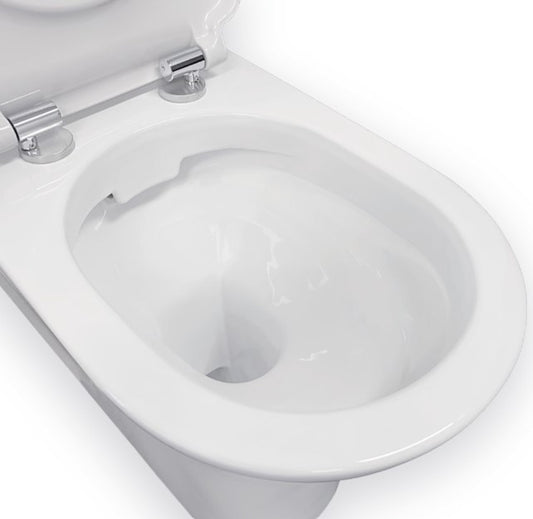 Delta Care Back-to-Wall Toilet Suite, White Seat, Raised Buttons