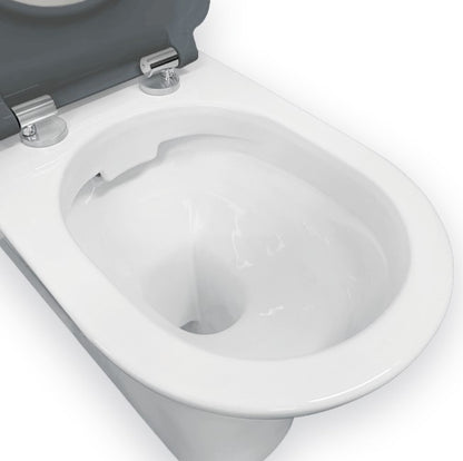 Delta Care Back-to-Wall Toilet Suite, Gloss White with Grey Seat