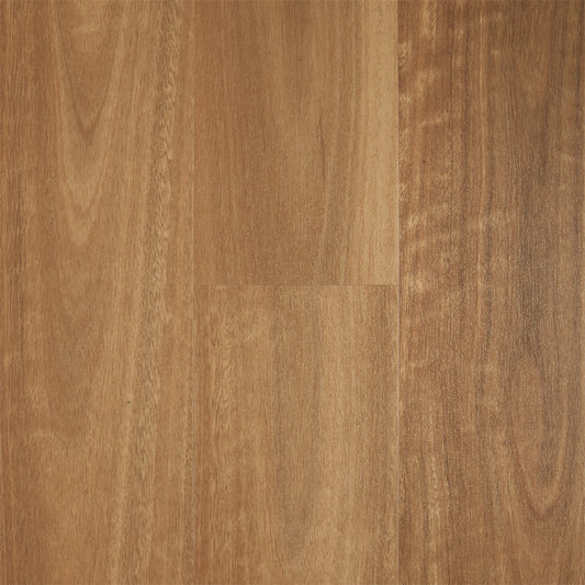 Iconic Hybrid Floor "Spotted Gum"