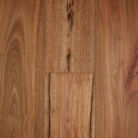 Fiddleback Australian Hardwood Floor "Rustic Spotted Gum"